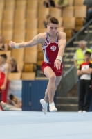 Thumbnail - Mikhail Khudchenko - BTFB-Eventi - 2018 - 23rd Junior Team Cup - Participants - Russia 01018_13534.jpg