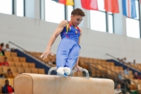 Thumbnail - Norbert Marcu - BTFB-Events - 2019 - 24. Junior Team Cup - Teilnehmer - Rumänien 01028_23587.jpg