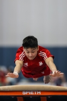 Thumbnail - Paul Doan Tran - BTFB-Événements - 2023 - 26th Junior Team Cup - Participants - SC Cottbus 01059_04864.jpg