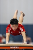 Thumbnail - Paul Doan Tran - BTFB-Events - 2023 - 26. Junior Team Cup - Teilnehmer - SC Cottbus 01059_04865.jpg