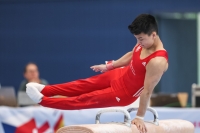 Thumbnail - Paul Doan Tran - BTFB-События - 2023 - 26th Junior Team Cup - Participants - SC Cottbus 01059_05133.jpg