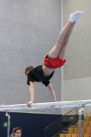 Thumbnail - German Chebotarev - BTFB-Eventi - 2023 - 27th Junior Team Cup - Participants - Berlin 01067_02509.jpg