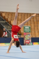 Thumbnail - Cottbus - BTFB-События - 2023 - 27th Junior Team Cup - Participants 01067_03867.jpg