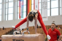 Thumbnail - German Chebotarev - BTFB-Eventi - 2023 - 27th Junior Team Cup - Participants - Berlin 01067_04456.jpg