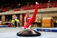 Thumbnail - Bayern - Alexander Nordheimer - Gymnastique Artistique - 2020 - DJM Schwäbisch Gmünd - Participants - AC 11 and 12 02001_11344.jpg