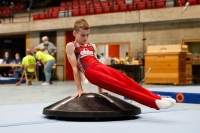 Thumbnail - Bayern - Alexander Nordheimer - Gymnastique Artistique - 2020 - DJM Schwäbisch Gmünd - Participants - AC 11 and 12 02001_11362.jpg