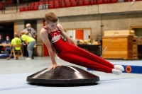 Thumbnail - Bayern - Alexander Nordheimer - Gymnastique Artistique - 2020 - DJM Schwäbisch Gmünd - Participants - AC 11 and 12 02001_11363.jpg