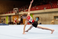 Thumbnail - Bayern - Alexander Nordheimer - Gymnastique Artistique - 2020 - DJM Schwäbisch Gmünd - Participants - AC 11 and 12 02001_13390.jpg