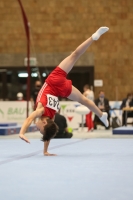 Thumbnail - Brandenburg - Elyas Nabi - Gymnastique Artistique - 2020 - DJM Schwäbisch Gmünd - Participants - AC 11 and 12 02001_14156.jpg