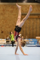 Thumbnail - Bayern - Alexander Nordheimer - Artistic Gymnastics - 2020 - DJM Schwäbisch Gmünd - Participants - AC 11 and 12 02001_14330.jpg