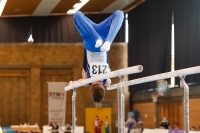 Thumbnail - Saarland - Daniel Mousichidis - Artistic Gymnastics - 2020 - DJM Schwäbisch Gmünd - Participants - AC 15 and 16 02001_19812.jpg