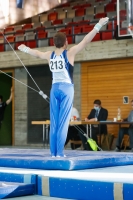 Thumbnail - Saarland - Daniel Mousichidis - Artistic Gymnastics - 2020 - DJM Schwäbisch Gmünd - Participants - AC 15 and 16 02001_20271.jpg