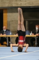 Thumbnail - Bayern - Tom Meier - Artistic Gymnastics - 2020 - DJM Schwäbisch Gmünd - Participants - AC 11 and 12 02001_22424.jpg