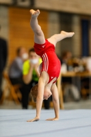 Thumbnail - Brandenburg - Carl - Спортивная гимнастика - 2020 - DJM Schwäbisch Gmünd - Participants - AC 09 and 10 02001_27758.jpg
