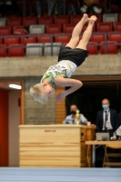Thumbnail - Sachsen-Anhalt - Travis Pichler - Artistic Gymnastics - 2020 - DJM Schwäbisch Gmünd - Participants - AC 13 and 14 02001_30373.jpg