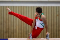 Thumbnail - Oussama Sidi-Moussa - Спортивная гимнастика - 2019 - egWohnen Juniors Trophy - Participants - Algeria 02034_00651.jpg