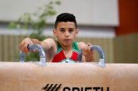 Thumbnail - Algeria - Спортивная гимнастика - 2019 - egWohnen Juniors Trophy - Participants 02034_00704.jpg