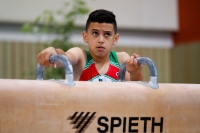 Thumbnail - Algeria - Спортивная гимнастика - 2019 - egWohnen Juniors Trophy - Participants 02034_00706.jpg