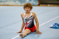 Thumbnail - Czech Republic - Gymnastique Artistique - 2019 - egWohnen Juniors Trophy - Participants 02034_00956.jpg