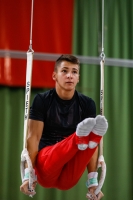 Thumbnail - Daniel David Kaplan - Artistic Gymnastics - 2019 - egWohnen Juniors Trophy - Participants - Czech Republic 02034_01057.jpg
