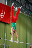 Thumbnail - Algeria - Artistic Gymnastics - 2019 - egWohnen Juniors Trophy - Participants 02034_01413.jpg