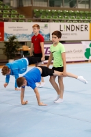 Thumbnail - Nico Oberholzer - Ginnastica Artistica - 2019 - egWohnen Juniors Trophy - Participants - Switzerland 02034_01579.jpg