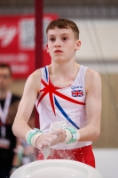 Thumbnail - Reuben Ward - Gymnastique Artistique - 2019 - egWohnen Juniors Trophy - Participants - Great Britain 02034_01786.jpg