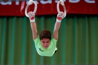 Thumbnail - Nico Oberholzer - Ginnastica Artistica - 2019 - egWohnen Juniors Trophy - Participants - Switzerland 02034_02213.jpg