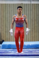 Thumbnail - Remell Robinson-Bailey - Artistic Gymnastics - 2019 - egWohnen Juniors Trophy - Participants - Great Britain 02034_02250.jpg