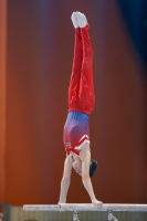 Thumbnail - Joe Feery - Gymnastique Artistique - 2019 - egWohnen Juniors Trophy - Participants - Great Britain 02034_02511.jpg