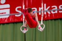 Thumbnail - Michael Goddard - Gymnastique Artistique - 2019 - egWohnen Juniors Trophy - Participants - Great Britain 02034_03724.jpg