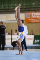 Thumbnail - Milan Jaros - Gymnastique Artistique - 2019 - egWohnen Juniors Trophy - Participants - Czech Republic 02034_04124.jpg
