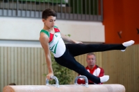 Thumbnail - Oussama Sidi-Moussa - Artistic Gymnastics - 2019 - egWohnen Juniors Trophy - Participants - Algeria 02034_05574.jpg
