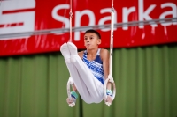 Thumbnail - Kazakhstan - Спортивная гимнастика - 2019 - egWohnen Juniors Trophy - Participants 02034_06797.jpg