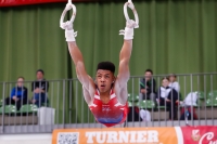 Thumbnail - Remell Robinson-Bailey - Gymnastique Artistique - 2019 - egWohnen Juniors Trophy - Participants - Great Britain 02034_08951.jpg