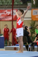 Thumbnail - Matteo Giubellini - Gymnastique Artistique - 2019 - egWohnen Juniors Trophy - Participants - Switzerland 02034_10251.jpg