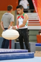 Thumbnail - Algeria - Спортивная гимнастика - 2019 - egWohnen Juniors Trophy - Participants 02034_10334.jpg