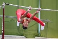 Thumbnail - Algeria - Artistic Gymnastics - 2019 - egWohnen Juniors Trophy - Participants 02034_10413.jpg