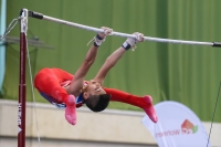 Thumbnail - Oakley Banks - Gymnastique Artistique - 2019 - egWohnen Juniors Trophy - Participants - Great Britain 02034_11060.jpg