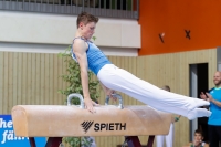 Thumbnail - Silas Dittmann - Gymnastique Artistique - 2019 - egWohnen Juniors Trophy - Participants - Switzerland 02034_11222.jpg