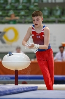 Thumbnail - Reuben Ward - Ginnastica Artistica - 2019 - egWohnen Juniors Trophy - Participants - Great Britain 02034_11227.jpg