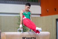 Thumbnail - Algeria - Спортивная гимнастика - 2019 - egWohnen Juniors Trophy - Participants 02034_11827.jpg
