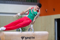 Thumbnail - Algeria - Artistic Gymnastics - 2019 - egWohnen Juniors Trophy - Participants 02034_11849.jpg
