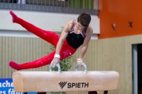 Thumbnail - Tobias Schnur - Ginnastica Artistica - 2019 - egWohnen Juniors Trophy - Participants - Germany 02034_13064.jpg