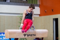 Thumbnail - Tobias Schnur - Artistic Gymnastics - 2019 - egWohnen Juniors Trophy - Participants - Germany 02034_13087.jpg