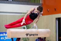Thumbnail - Tobias Schnur - Artistic Gymnastics - 2019 - egWohnen Juniors Trophy - Participants - Germany 02034_13089.jpg