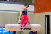 Thumbnail - Tobias Schnur - Спортивная гимнастика - 2019 - egWohnen Juniors Trophy - Participants - Germany 02034_13093.jpg