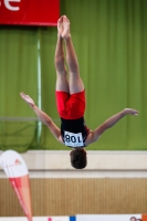 Thumbnail - Tobias Schnur - Спортивная гимнастика - 2019 - egWohnen Juniors Trophy - Participants - Germany 02034_14922.jpg