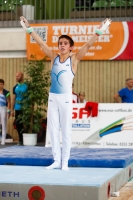 Thumbnail - Aurel Wanner - Спортивная гимнастика - 2019 - egWohnen Juniors Trophy - Participants - Switzerland 02034_15114.jpg
