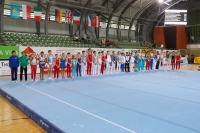 Thumbnail - General Photos - Artistic Gymnastics - 2019 - egWohnen Juniors Trophy 02034_15601.jpg